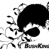 bushkjng